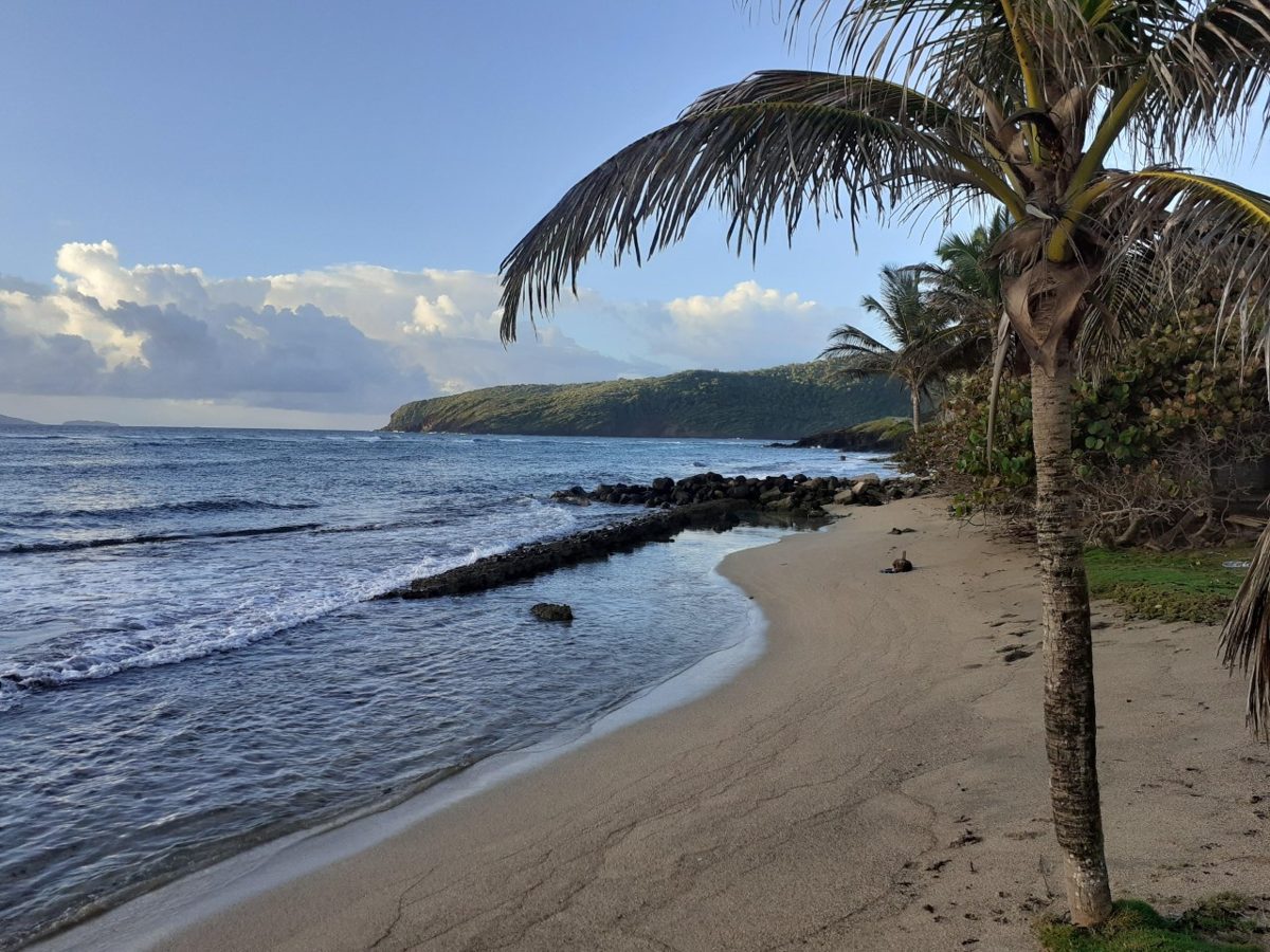 Park Bay and Bequia Head